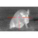 ATN Thor320-9-36x, 336x256, 100mm, 60Hz, 17 micron Thermal Weapon Sight TIWSMT339A