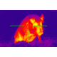 ATN Thor320-9-36x, 336x256, 100mm, 60Hz, 17 micron Thermal Weapon Sight TIWSMT339A