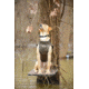Avery Sporting Dog Boater's Dog Parka, BTML, Extra Small 03108