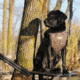 Avery Sporting Dog Boomer Stand,BuckBrush 90013