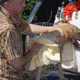 Avery Sporting Dog Dogsorber Dry Towel 2800