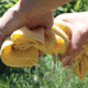 Avery Sporting Dog Dogsorber Dry Towel 2800