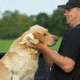 Avery Sporting Dog Dogsorber Dry Towel 2800