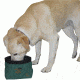 Avery Sporting Dog EZ-Stor Collapsible Dog Bowl 2177