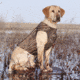 Avery Sporting Dog Jr. Ruff Stand,Marsh Grass 90018