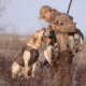 Avery Sporting Dog Jr. Ruff Stand,Marsh Grass 90018