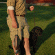 Avery Sporting Dog Leather Line Lead 2171