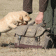 Avery Sporting Dog PRO Trainer's Bag,Field Khaki 1855