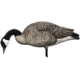 Avian X AXP Goose Decoys, Fusion Honker 6 pk, AVX-AVX9006