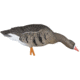 Avian X Fusion Pack AXF Specklebelly Decoy, AVX-AVX9019