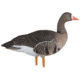 Avian X Fusion Pack AXF Specklebelly Decoy, AVX-AVX9019