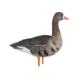 Avian X Fusion Pack AXF Specklebelly Decoy, AVX-AVX9019