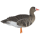 Avian X Fusion Pack AXF Specklebelly Decoy, AVX-AVX9019