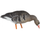 Avian X Fusion Pack AXF Specklebelly Decoy, AVX-AVX9019