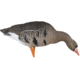 Avian X Fusion Pack AXF Specklebelly Decoy, AVX-AVX9019