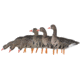 Avian X Fusion Pack AXF Specklebelly Decoy, AVX-AVX9019
