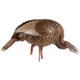 Avian X HDR Feeding Hen Decoy, Synthetic, AVXAVX8107