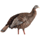 Avian X HDR Hen Decoy, Synthetic, AVXAVX8106