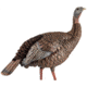 Avian X HDR Hen Decoy, Synthetic, AVXAVX8106