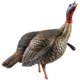 Avian X HDR Jake Decoy, Black, AVX-AVX8105