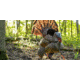 Avian X HDR Strutter Decoy, Synthetic, AVXAVX8108