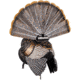 Avian X HDR Strutter Decoy, Synthetic, AVXAVX8108