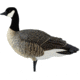 Avian X Outfitter Pack AXF Lessers Decoy, AVX-AVX9033