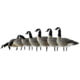 DEMO, Avian X Outfitter Pack AXF Lessers Decoy, AVX-AVX9033