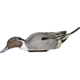 Avian X Power Shaker Pintail Surface Feeder Decoy, Synthetic, AVXPSHPNSF