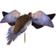 Avian X Powerflight Robo Dove Decoy with Spinning Wings, AVXAVXDP102
