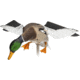 Avian X Powerflight Smart Mallard Decoy, Black, AVX-AVXDP100