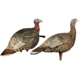 USED Avian X Rio Lookout Jake/Hen Combo Decoy, AVX-AVX8010, EDEMO1