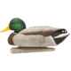 Avian X Topflight Fusion Mallards Decoy, AVX-AVX8076