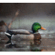 Avian X Topflight Fusion Mallards Decoy, AVX-AVX8076