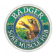 Badger Ordnance  Sore Muscle Rub 2oz Tin 23152