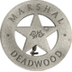 Badges Of The Old West Marshal Deadwood Badge