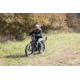Bakcou Flatlander 21ah eBike, Matte Black, 9509393374824