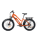 Bakcou Flatlander Step-Through 24in 19.2ah eBike, Gloss Burnt Orange, 9506627864595