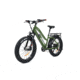 Bakcou Flatlander Step-Through 24in 19.2ah eBike, Matte Army Green, 9508618366828