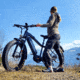 Bakcou Mule 25ah eBike, Matte Black, 9504171445895