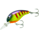 Bandit 200 Series Crankbait, 2in, 1/4oz, Viral Perch, BDT2D73