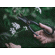 Barebones Artisan Pruning Shears, Stainless steel, GDN-049