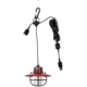 Barebones Edison Pendant Light, Red, LIV-266