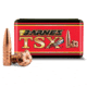 Barnes Barnes TSX .350 Legend 170 Grain TSX FN FB Pistol Ammo, 50 Rounds, 32078-50RD