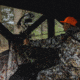 Barronett Blinds Big Cat Hunting Blind, Backwoods Camouflage BC350BW