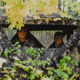 Barronett Blinds Big Mike HD Hunting Blind, Crator Core Camo, 012642022272
