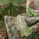 Barronett Blinds Gobbler Chair, Crater Thrive, BC108