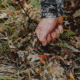 Barronett Blinds Ox 5 Hub Blind, Backwoods Camo, BX550BW