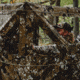 Barronett Blinds Panel Face-Off Hunting Blind, Crater Thrive, Adjustable, FA101CT