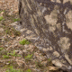 Barronett Blinds Pentagon Heavy Duty 5 Sided Hunting Blind, Crater Core, 4-Person, PTHD550CC